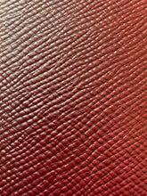 Load image into Gallery viewer, Passport Holder